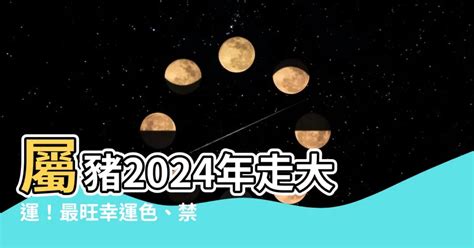 屬豬的幸運色|【屬豬適合什麼顏色】屬豬者好運相隨！2024年最強幸運色解。